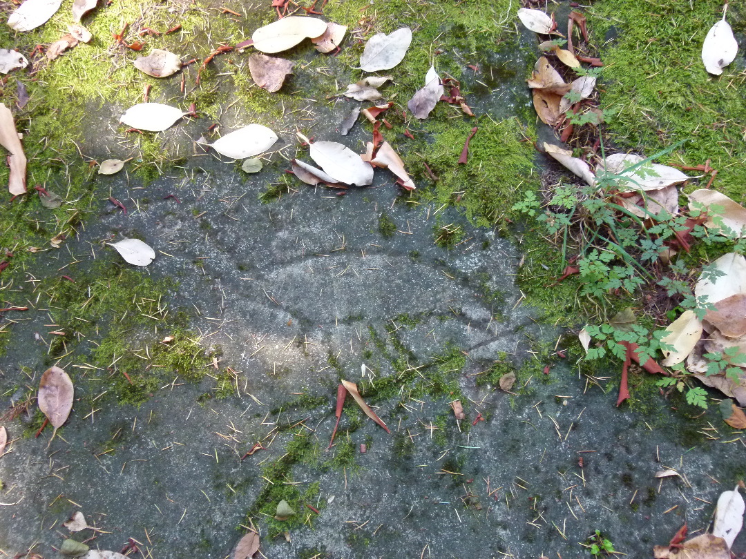 Replik einer Petroglyphe im Petroglyph Park von Antje Baumann