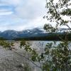 Athabasca River von Antje Baumann