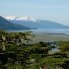 Juneau: Gletschergarten von Bernd Pätzold