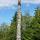 Eagle and Beaver Pole of Ninstints von Antje Baumann