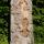 Detail des Beaver Crest Pole von Antje Baumann