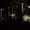 Totempfhle vom Stanley Park in der Nacht von Antje Baumann